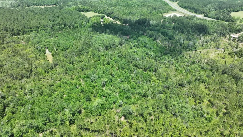 Picture 7