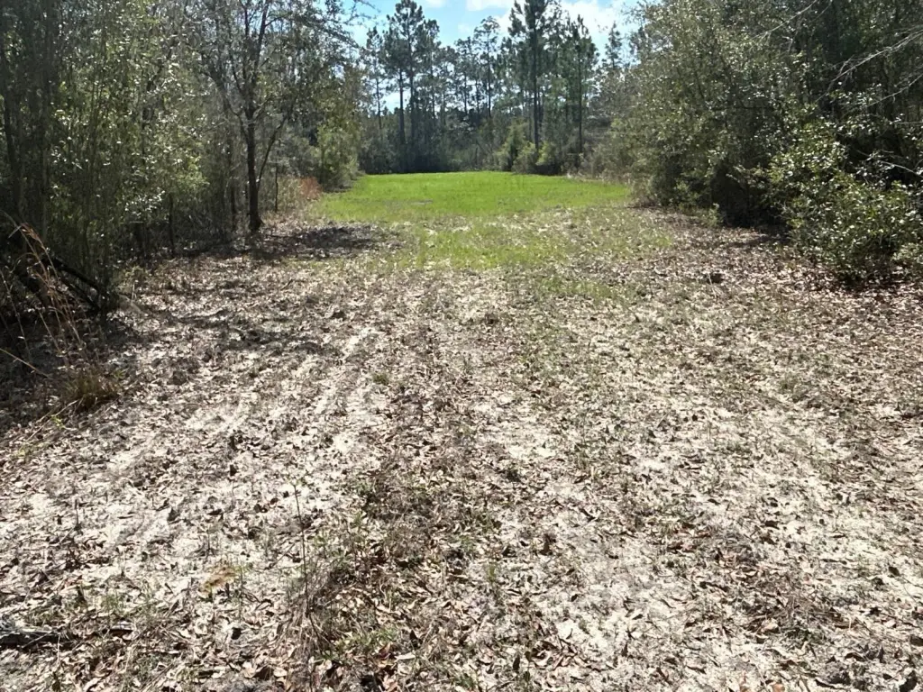 Picture 17