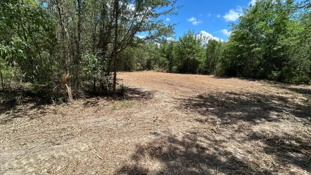 Picture 26