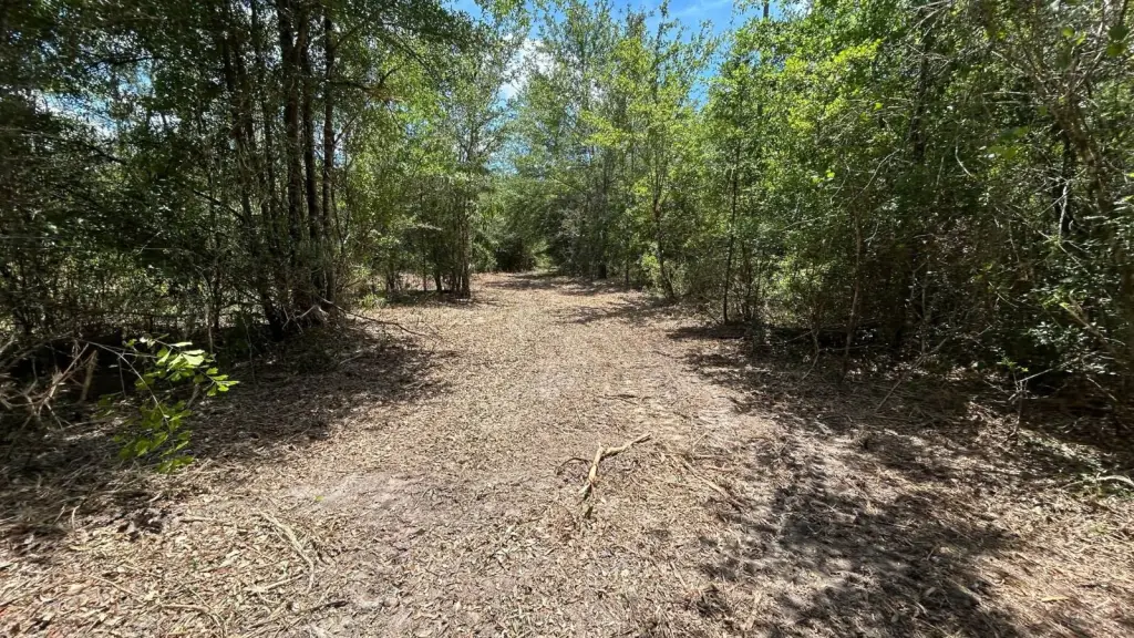 Picture 23