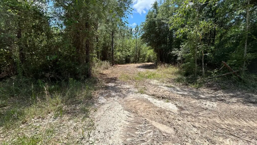 Picture 22