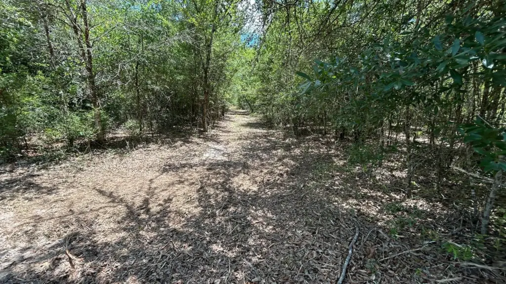Picture 28