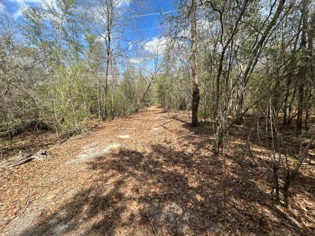 Picture 19