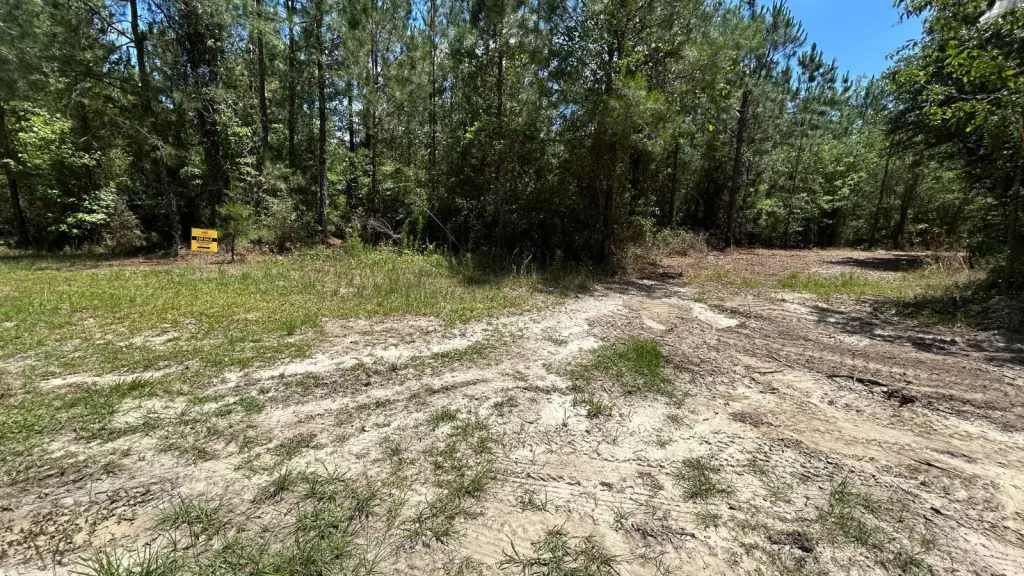 Picture 4