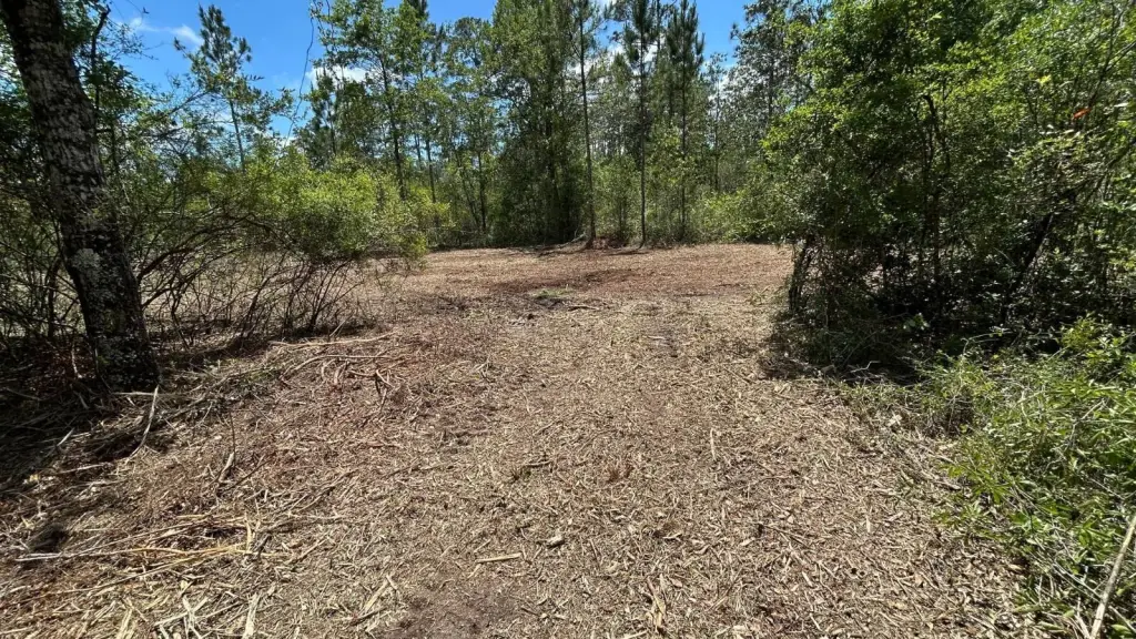 Picture 16