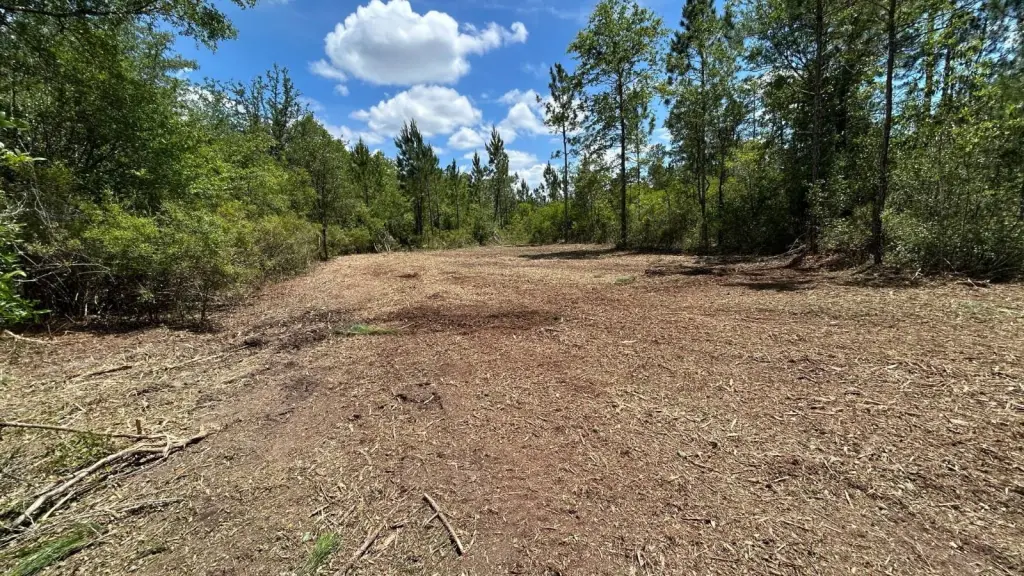 Picture 15