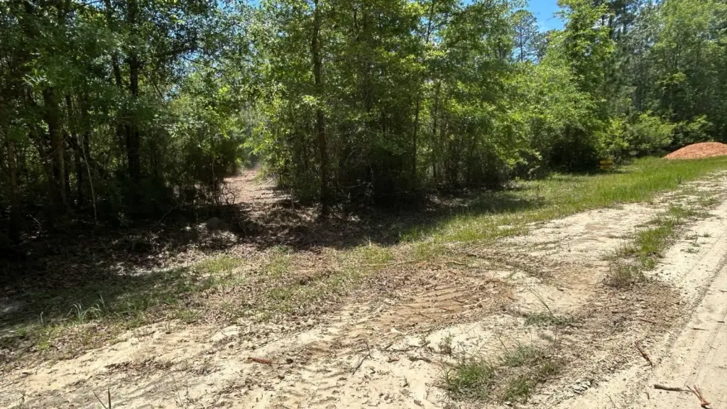 Picture 13