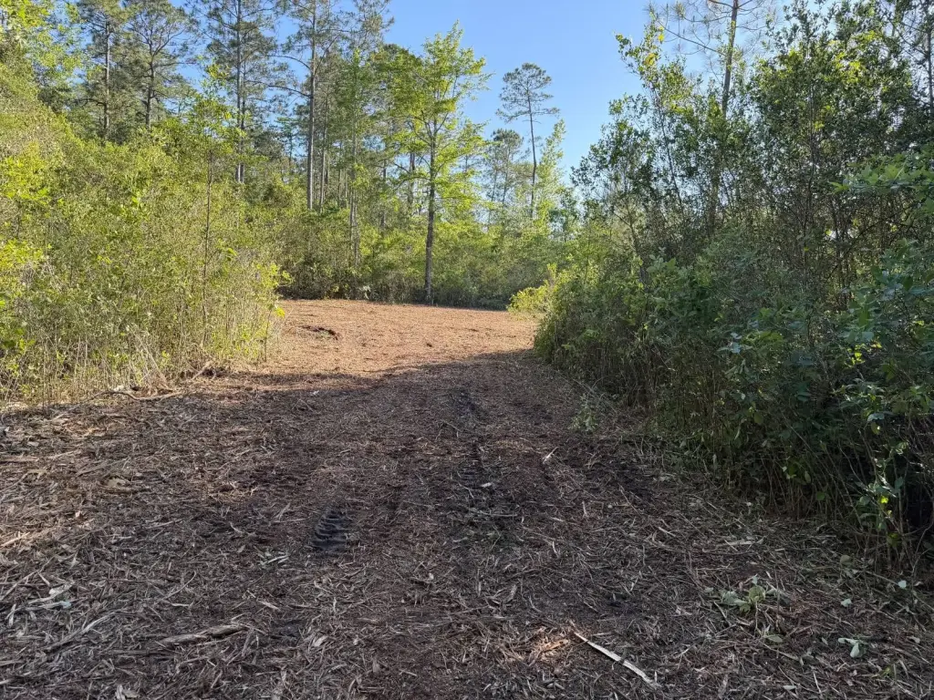 Picture 17