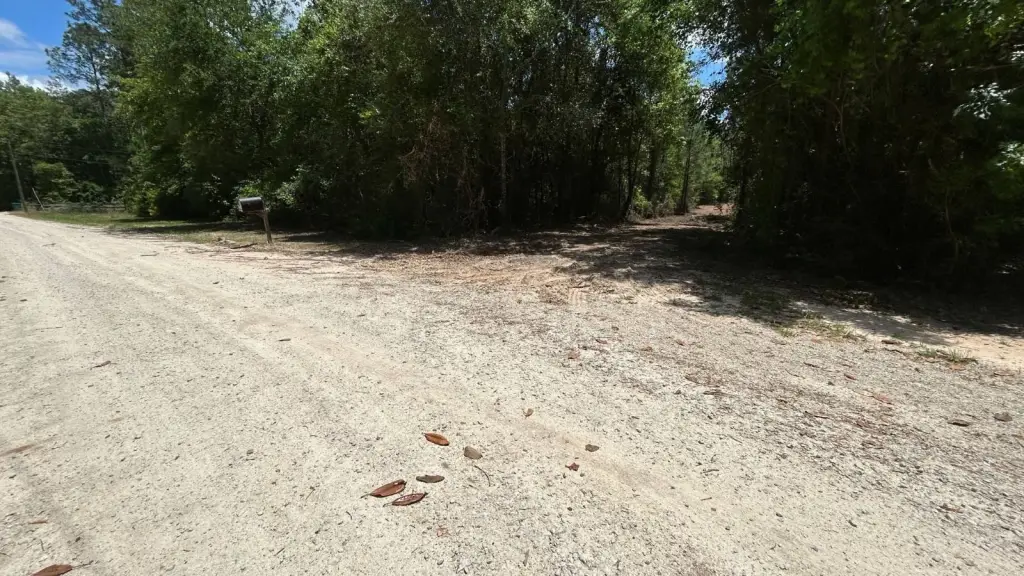 Picture 21