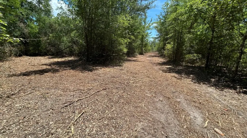 Picture 16