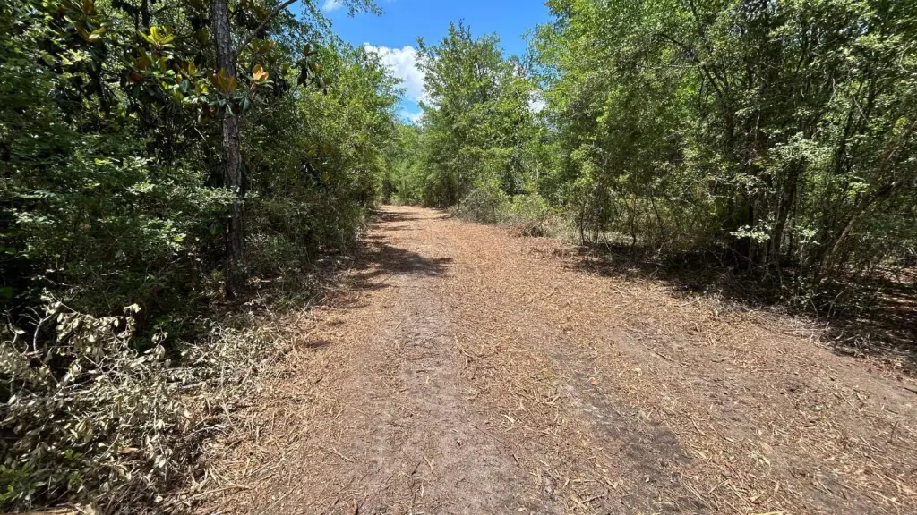 Picture 20