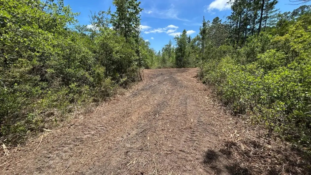 Picture 19