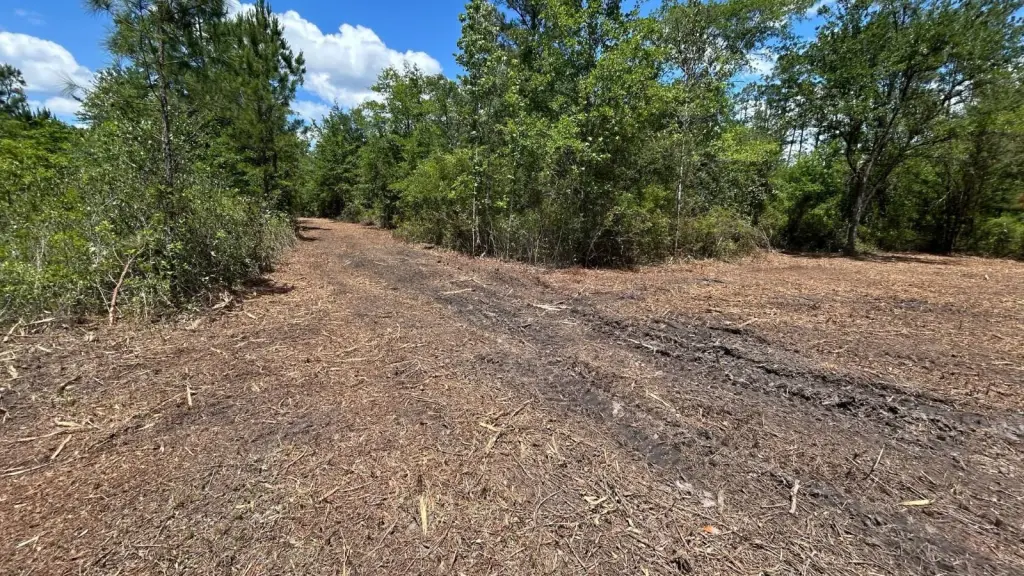 Picture 18