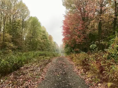 Garrettsville Land with New Building