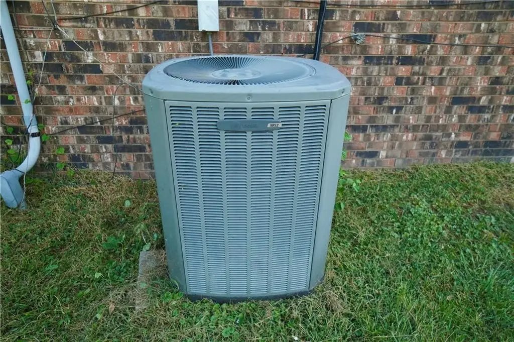 Picture 37