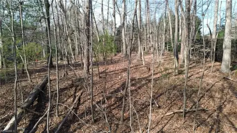 Residential Land in Established Neighborhood