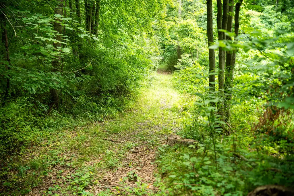 Picture 30