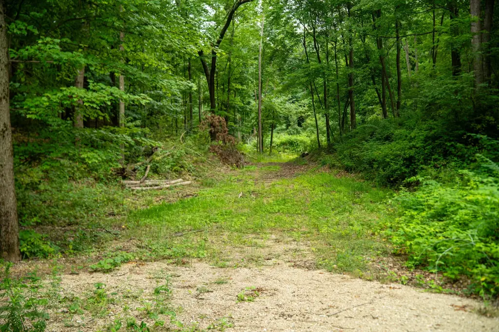 Picture 38
