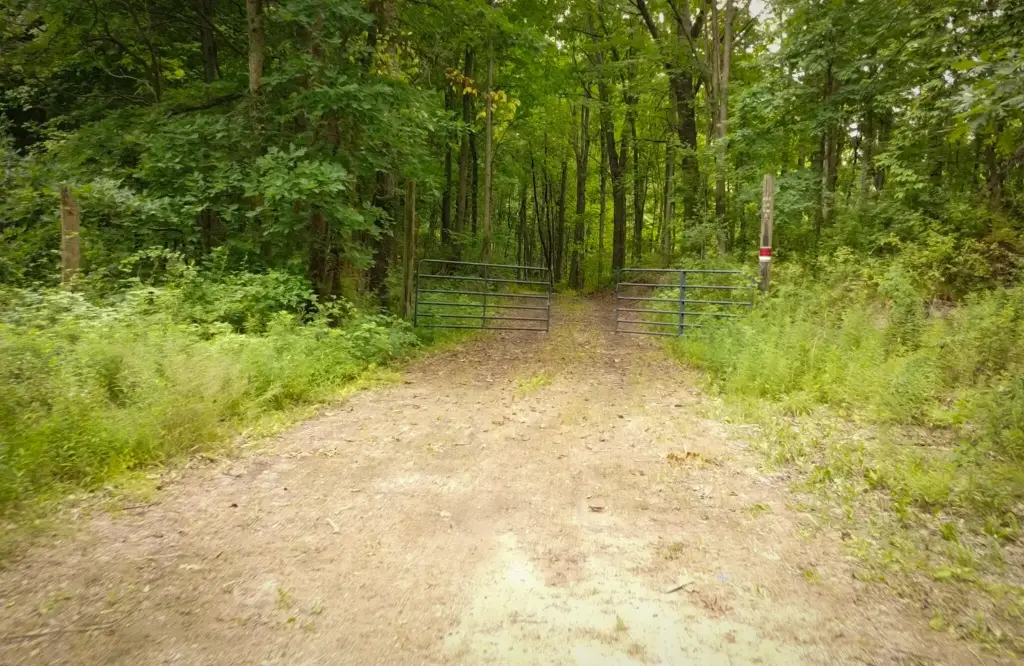 Picture 15
