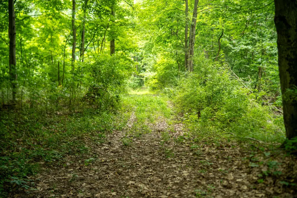 Picture 9
