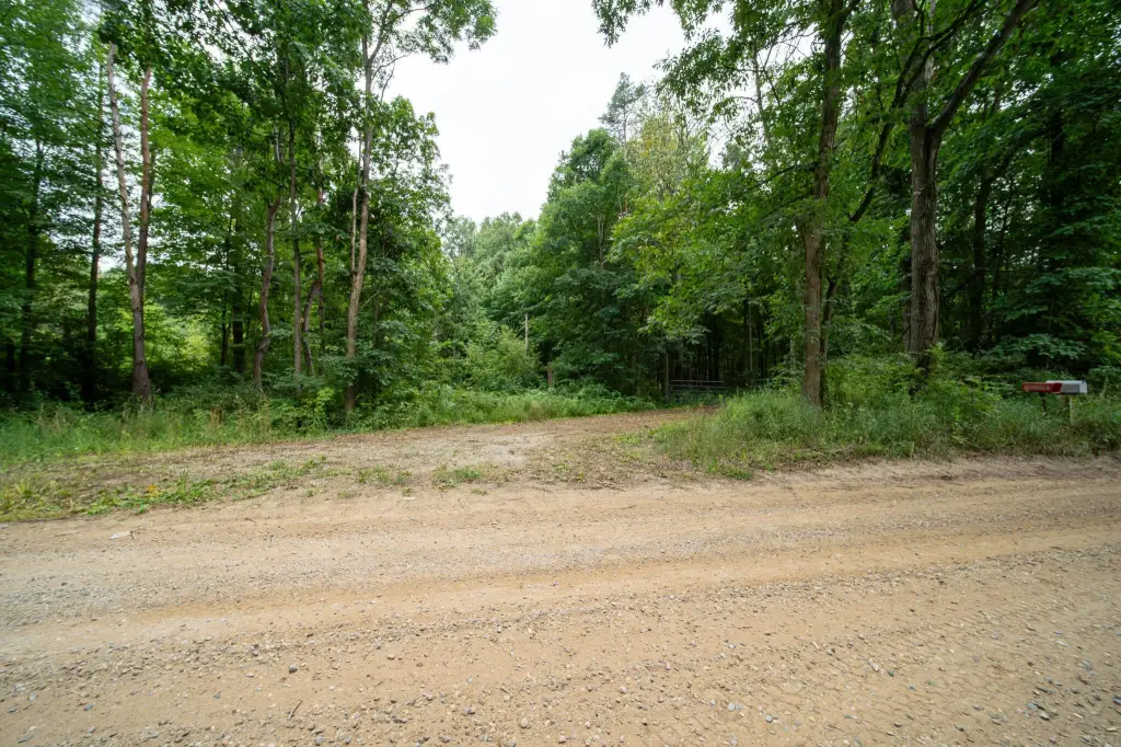 Picture 45