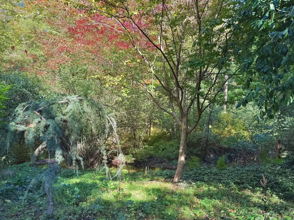 Picture 4