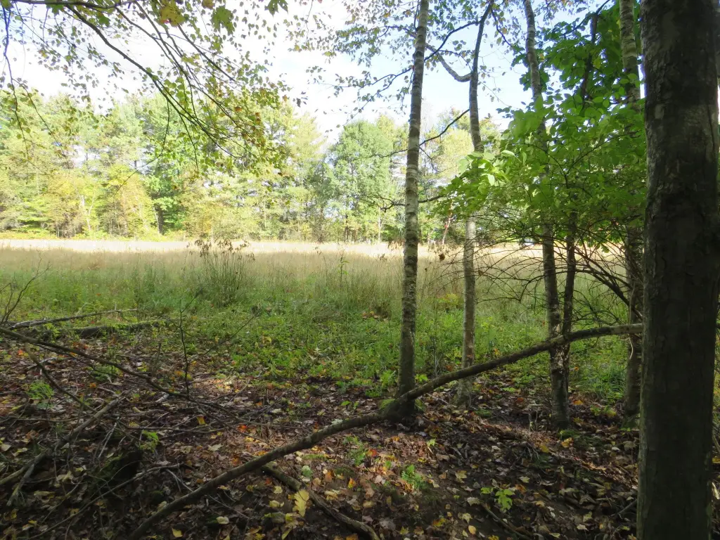 Picture 32