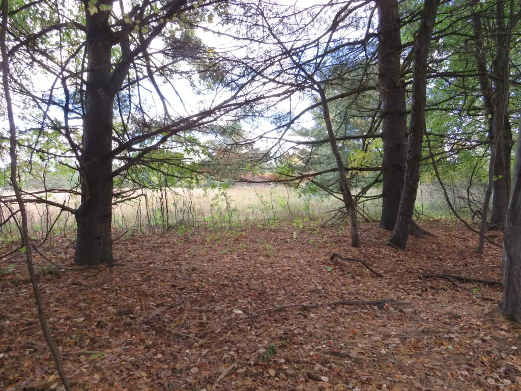 Picture 41
