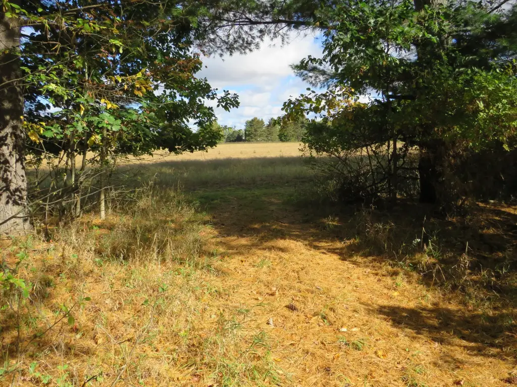 Picture 21