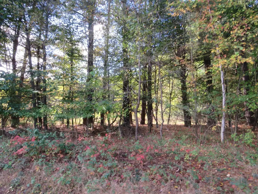 Picture 18
