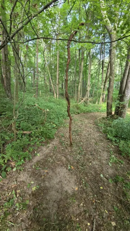 Picture 40