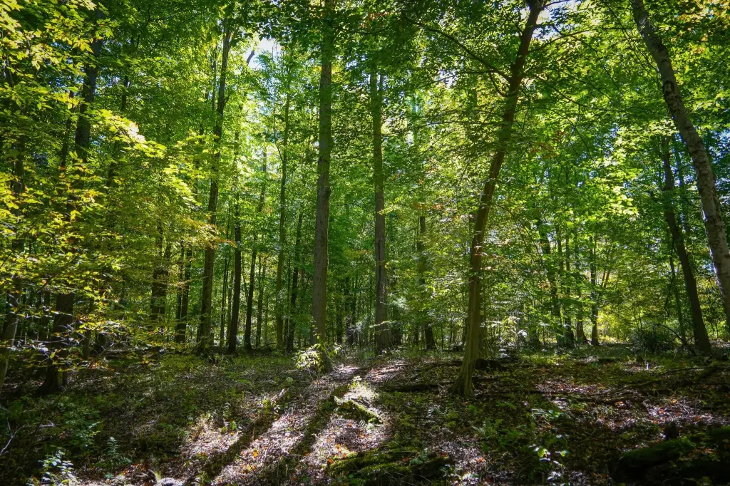 Picture 22