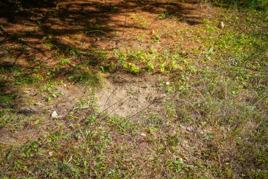Picture 30
