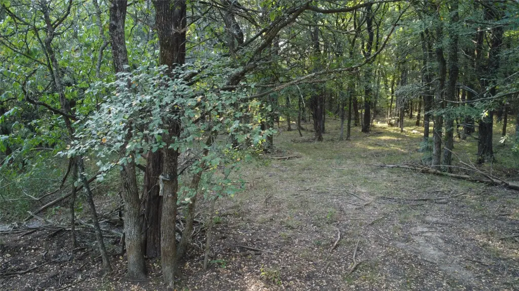 Picture 24