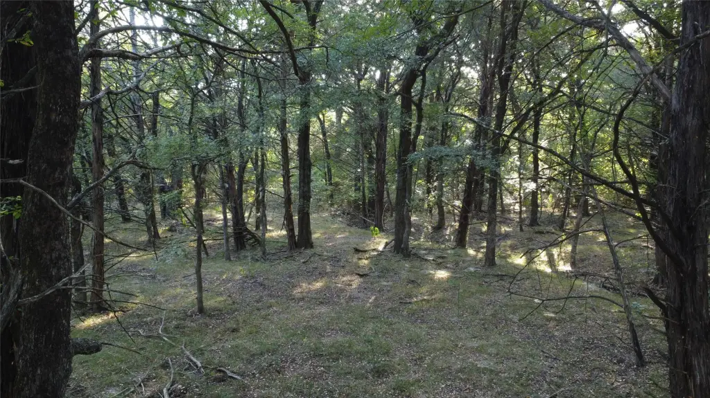 Picture 25