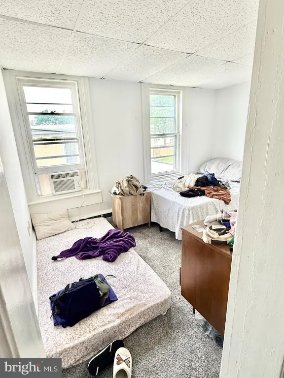 Picture 21