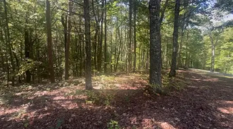 Secluded Wooded Lot in Subdivision