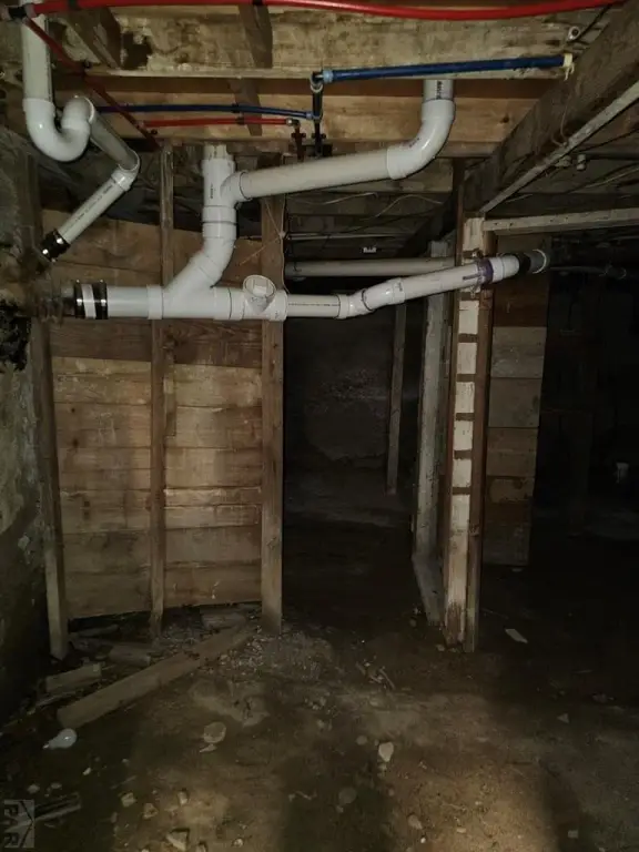 Picture 41