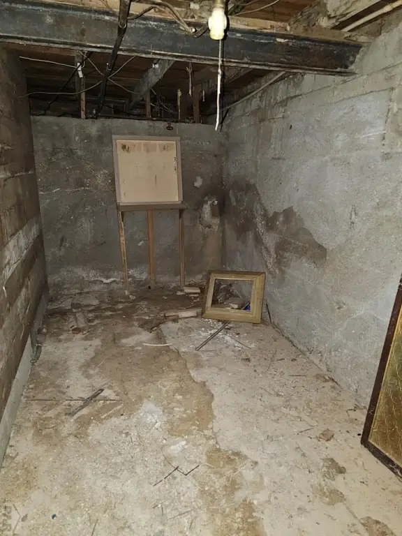 Picture 44