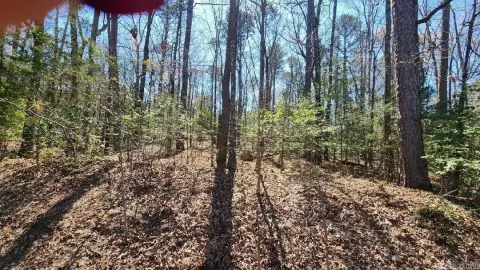 Residential Lot in Hot Springs