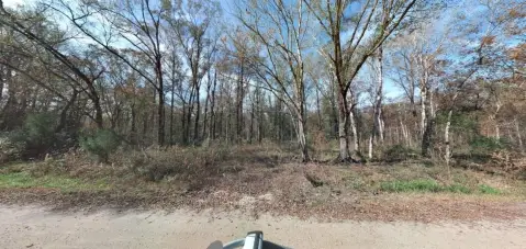 Buildable Land in Hastings, Florida