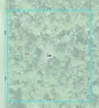 Buildable Land in Hastings, Florida