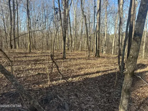 Land For Sale, Middleton, TN