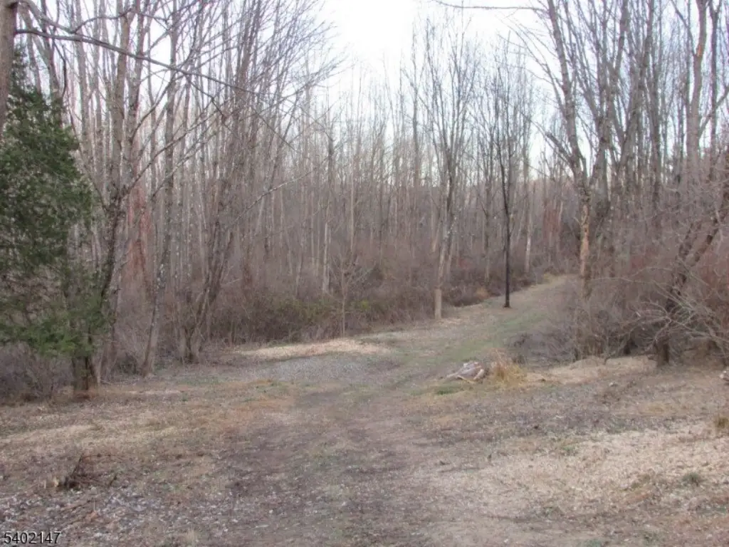 Picture 14