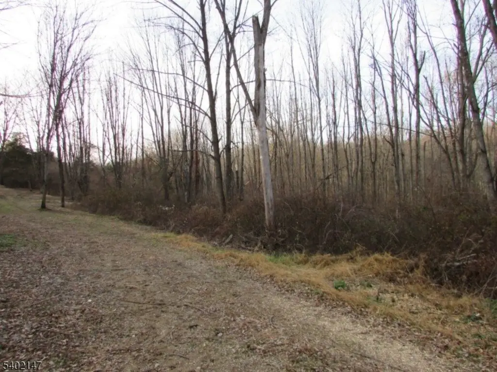 Picture 16