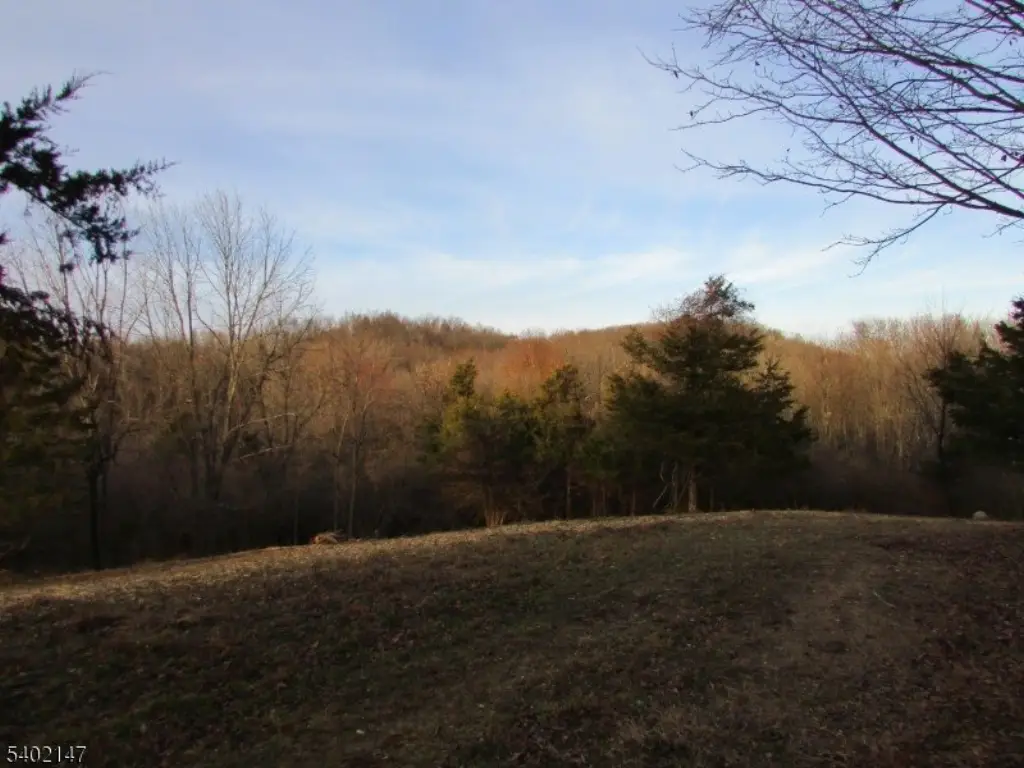 Picture 12