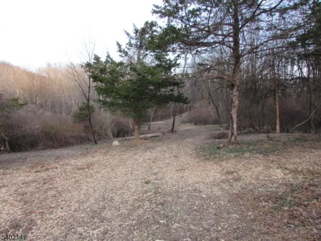 Picture 15