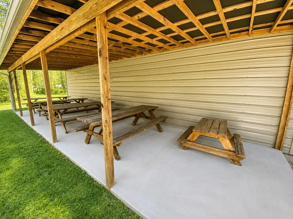 Picture 11