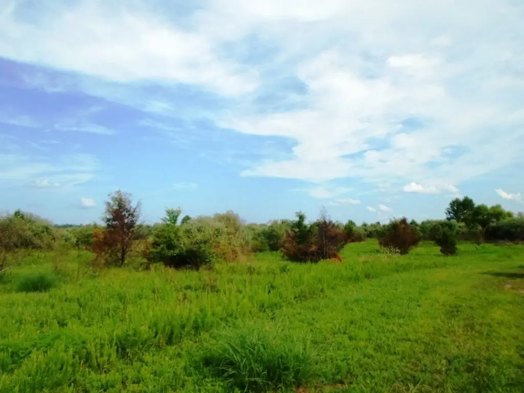 Picture 7