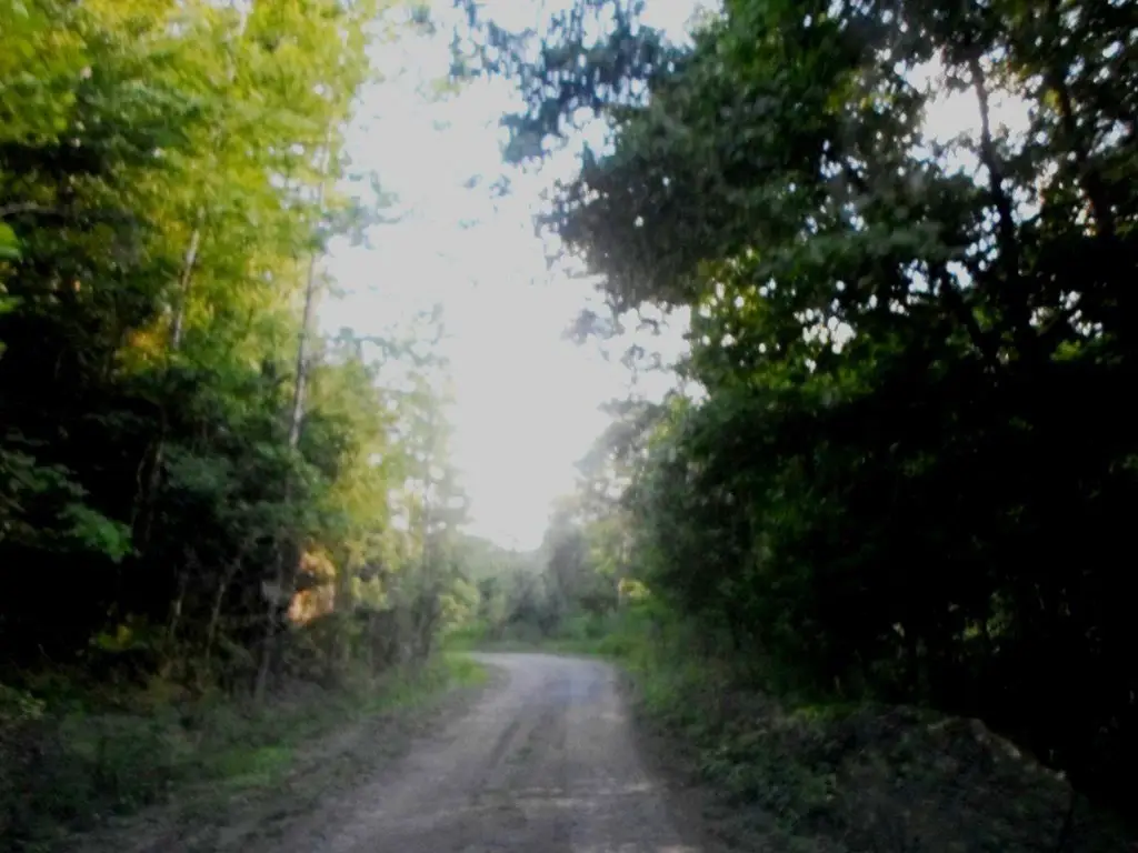 Picture 15